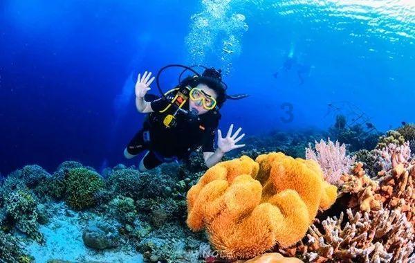 《顶楼3》首个预告片来袭，该片剧情讲述了怎样的一个故事？